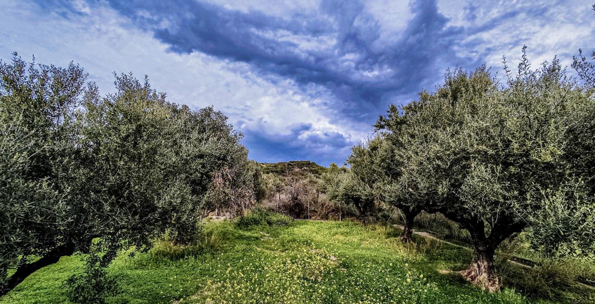 Your Spot West Peloponnese Shared Countryhouse Zaháro Kültér fotó