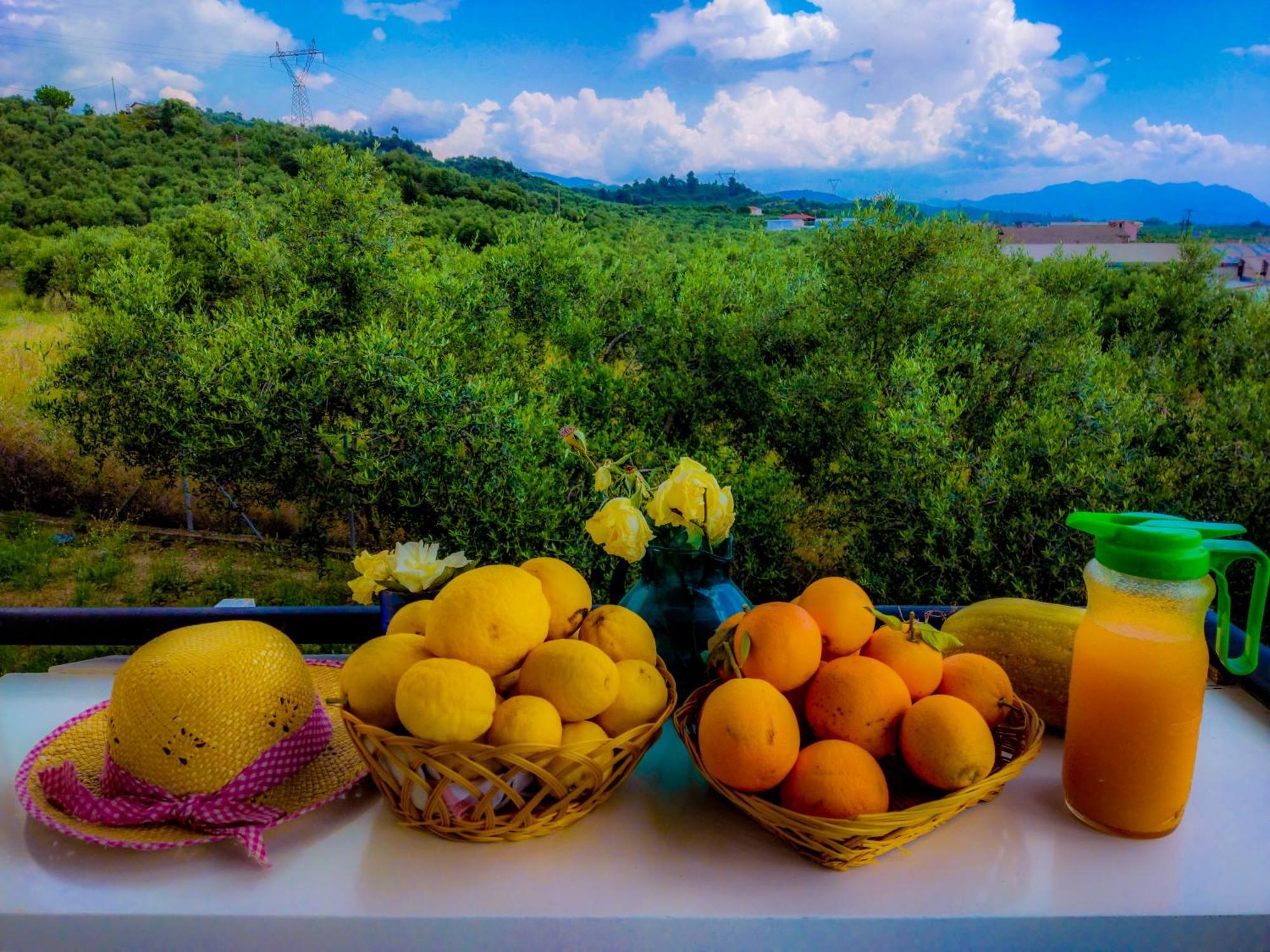 Your Spot West Peloponnese Shared Countryhouse Zaháro Kültér fotó